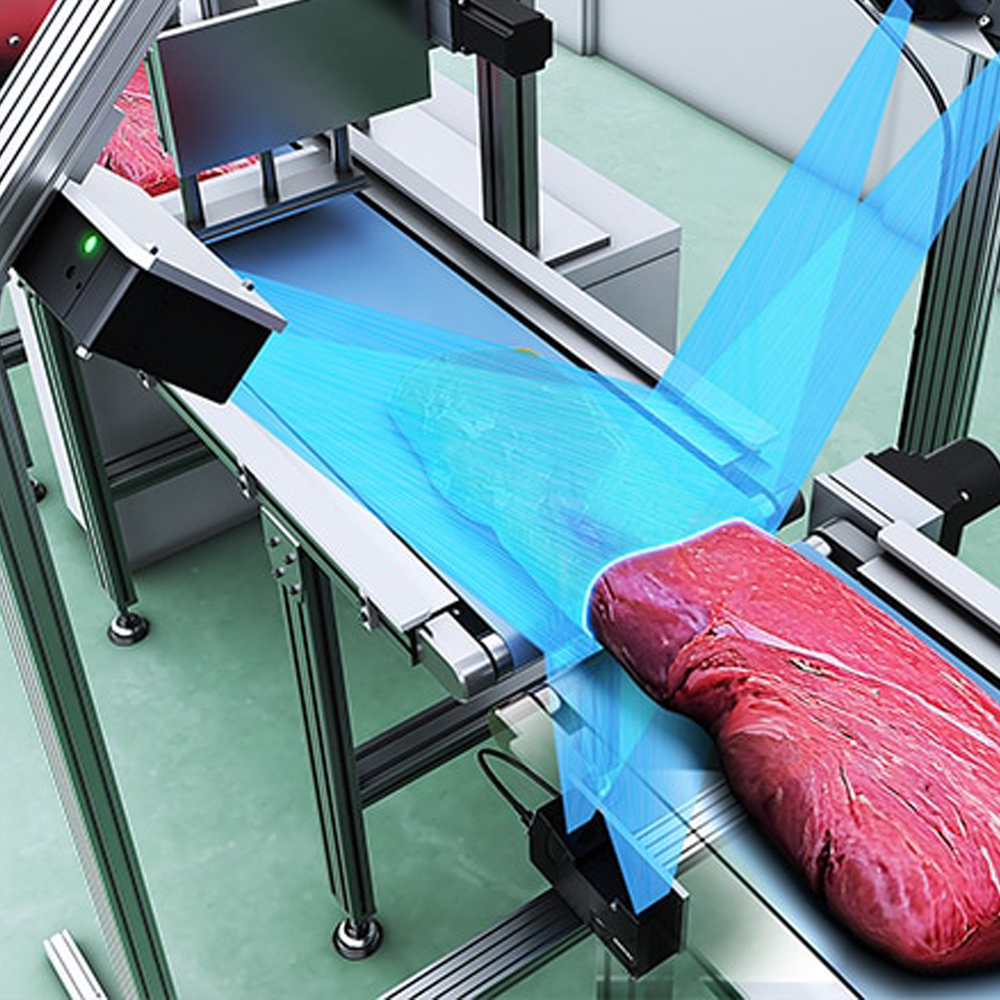 Meat Surface Defect and Segmentation Ision Inspection System