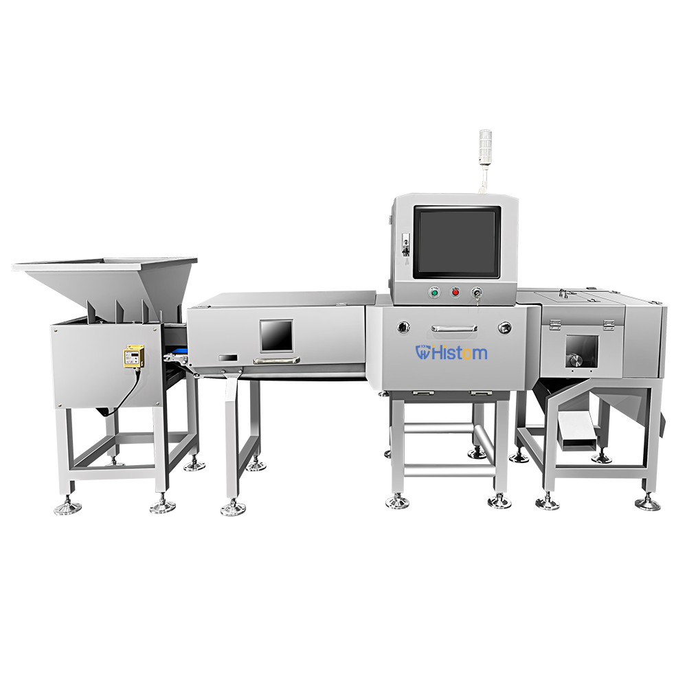 Automatic X-Ray Inspection Sys