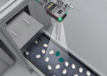 Vision Differential Inspection